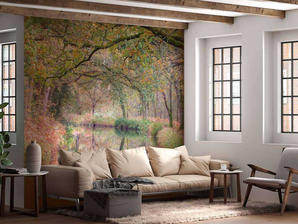 overdekt kleurrijk bos