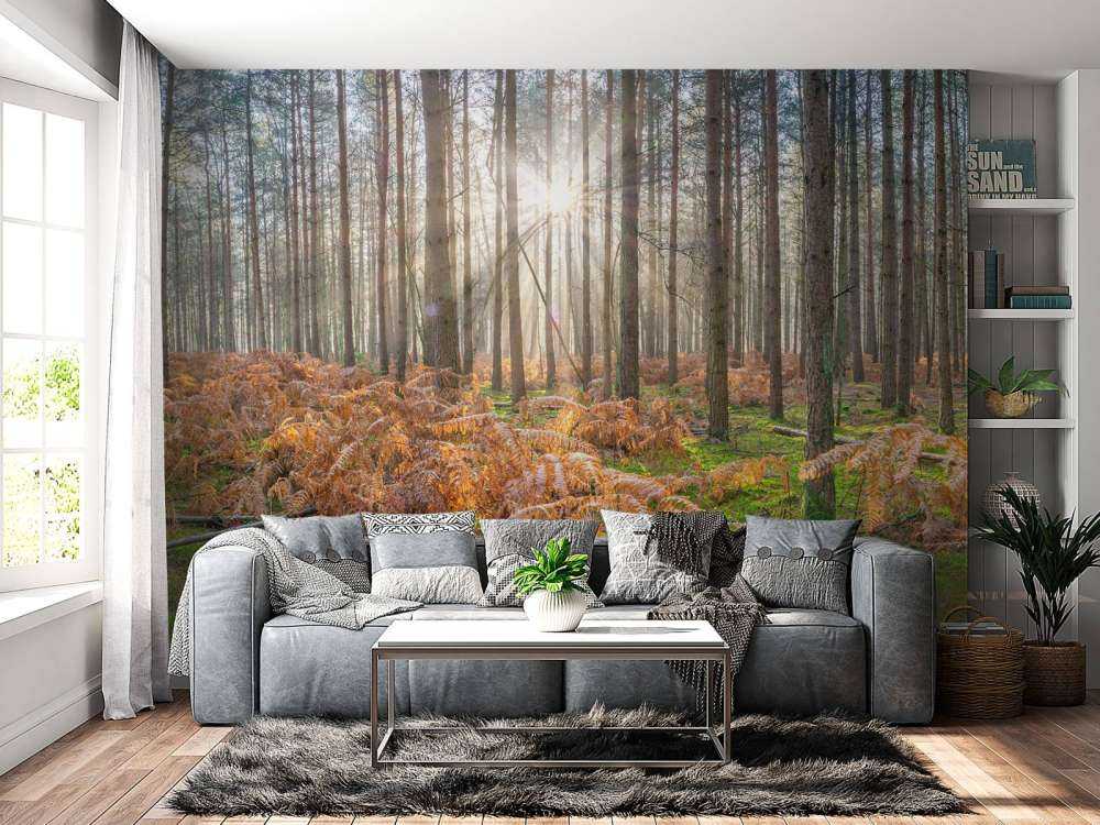 Bos tijdens de zonsopkomst