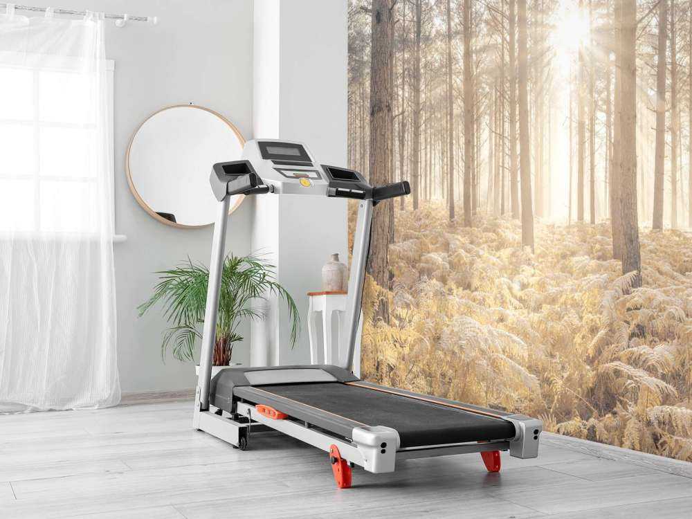 Zonnestralen in het koude bos