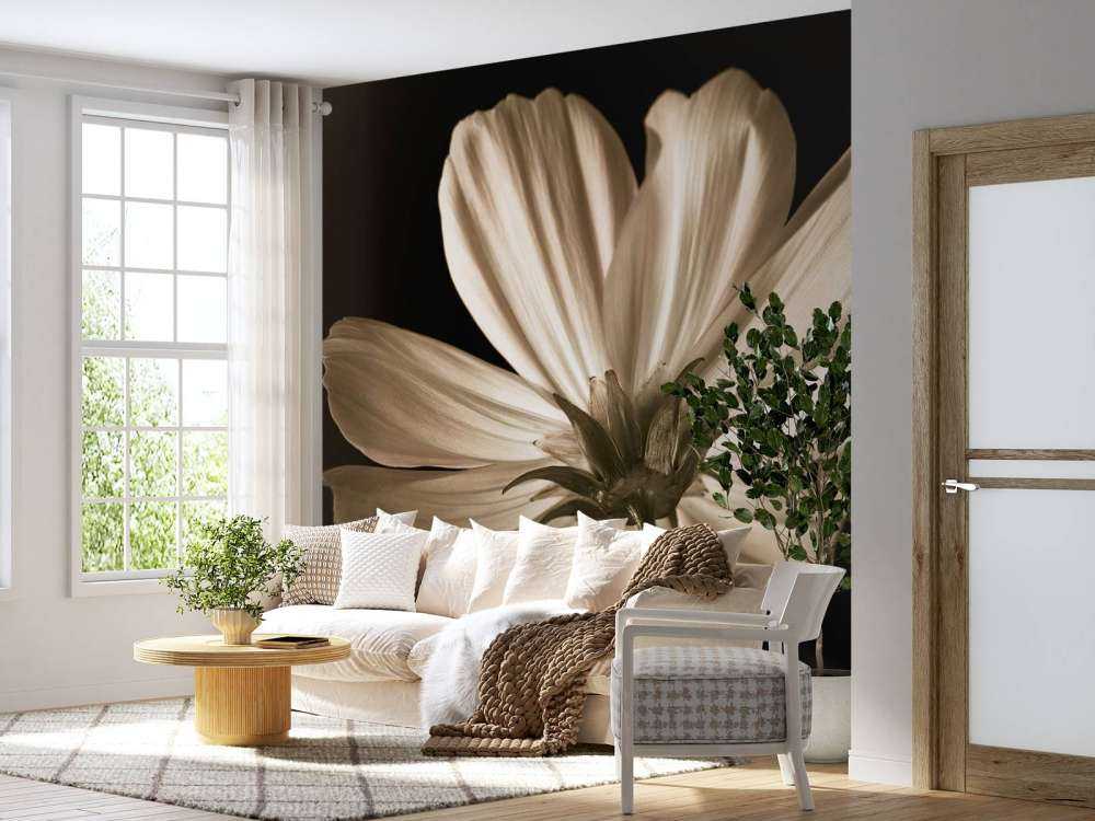 Cosmos bloem van onderen