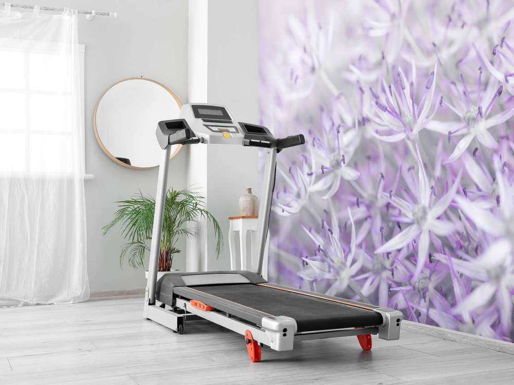 Allium bloemen close-up