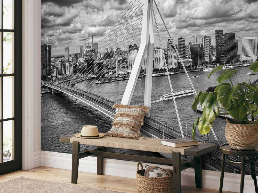 Rotterdam centrum vanaf grote hoogte in zwart wit  