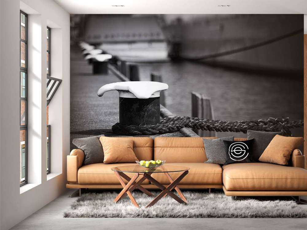 Aangemeerd passagiersschip  