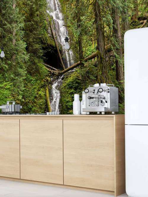 Waterval met omgevallen bomen
