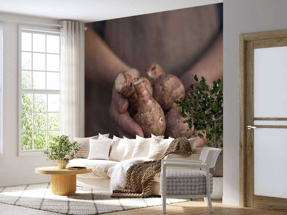 Aardproducten