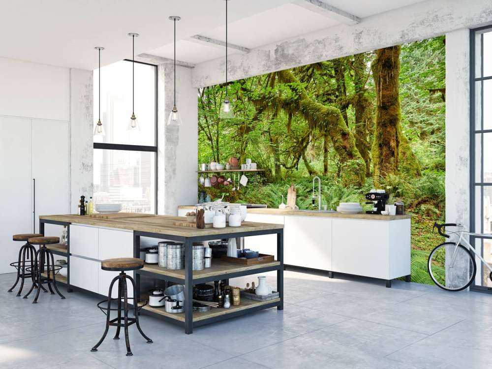 Varens in een oud bos