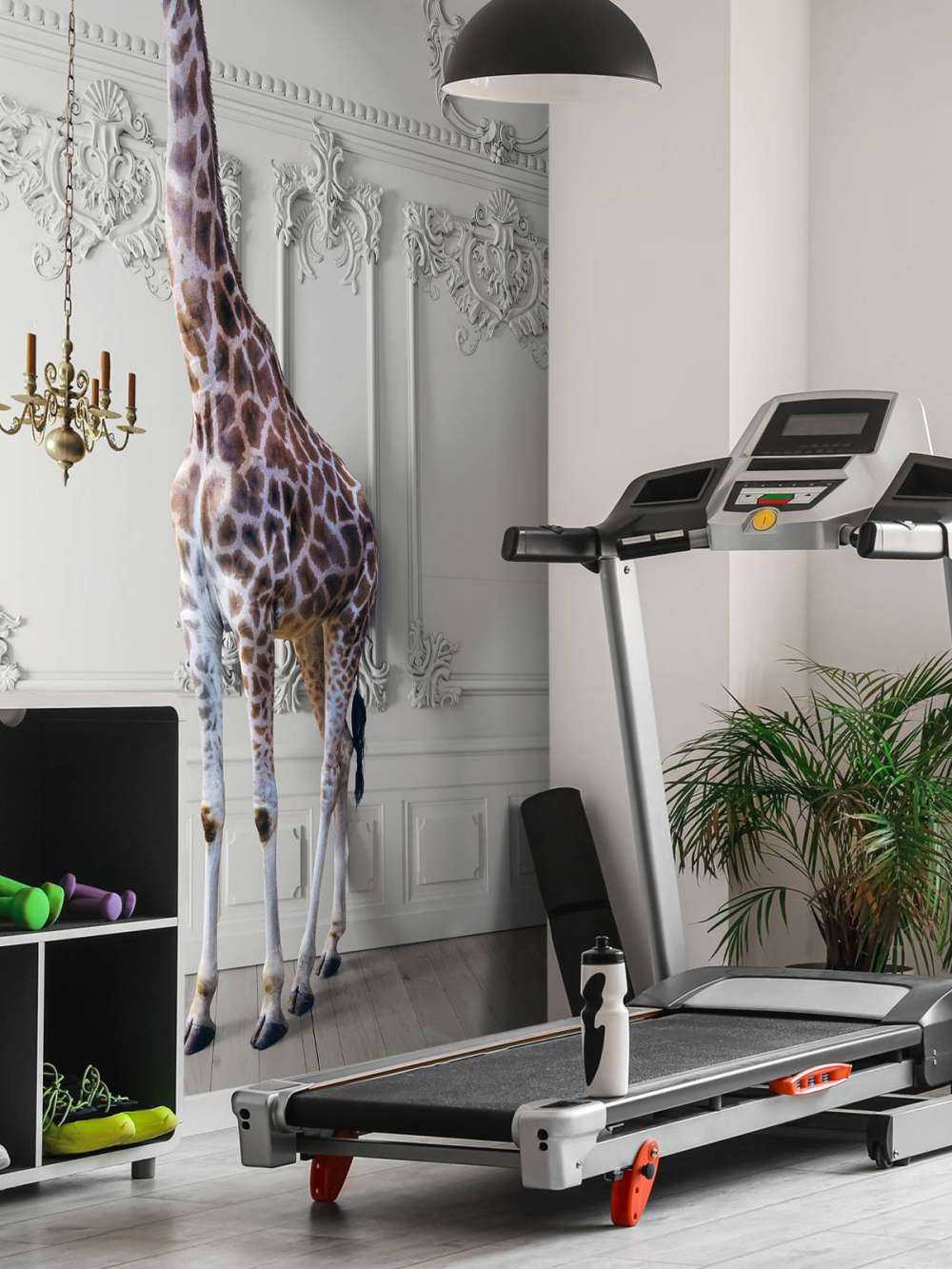 Giraffe met kandelaar