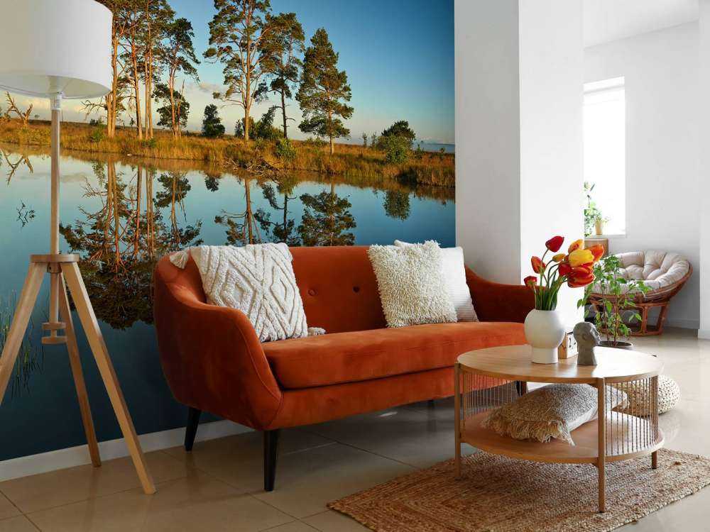 Weerspiegeling in bosmeertje