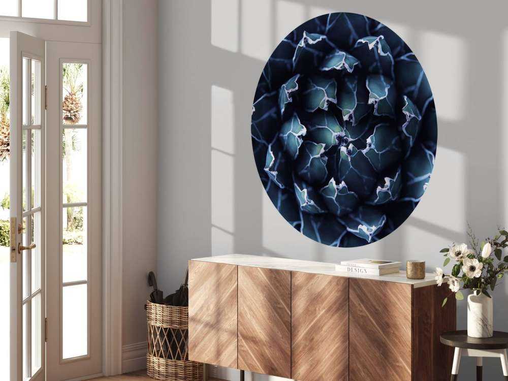 Donkerblauwe vetplant