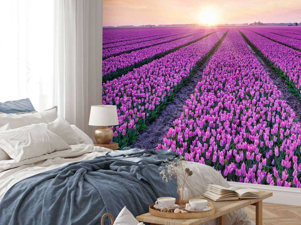 Tulpenveld bij zonsopkomst