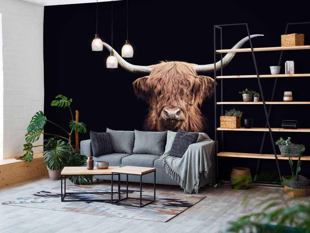 Vintage Schotse hooglander