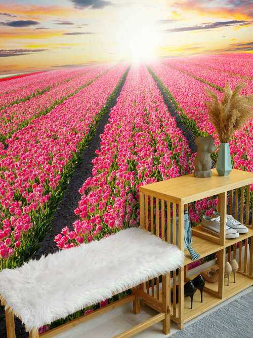 Tulpen met opkomende zon