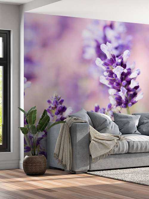 Lavendel bloem