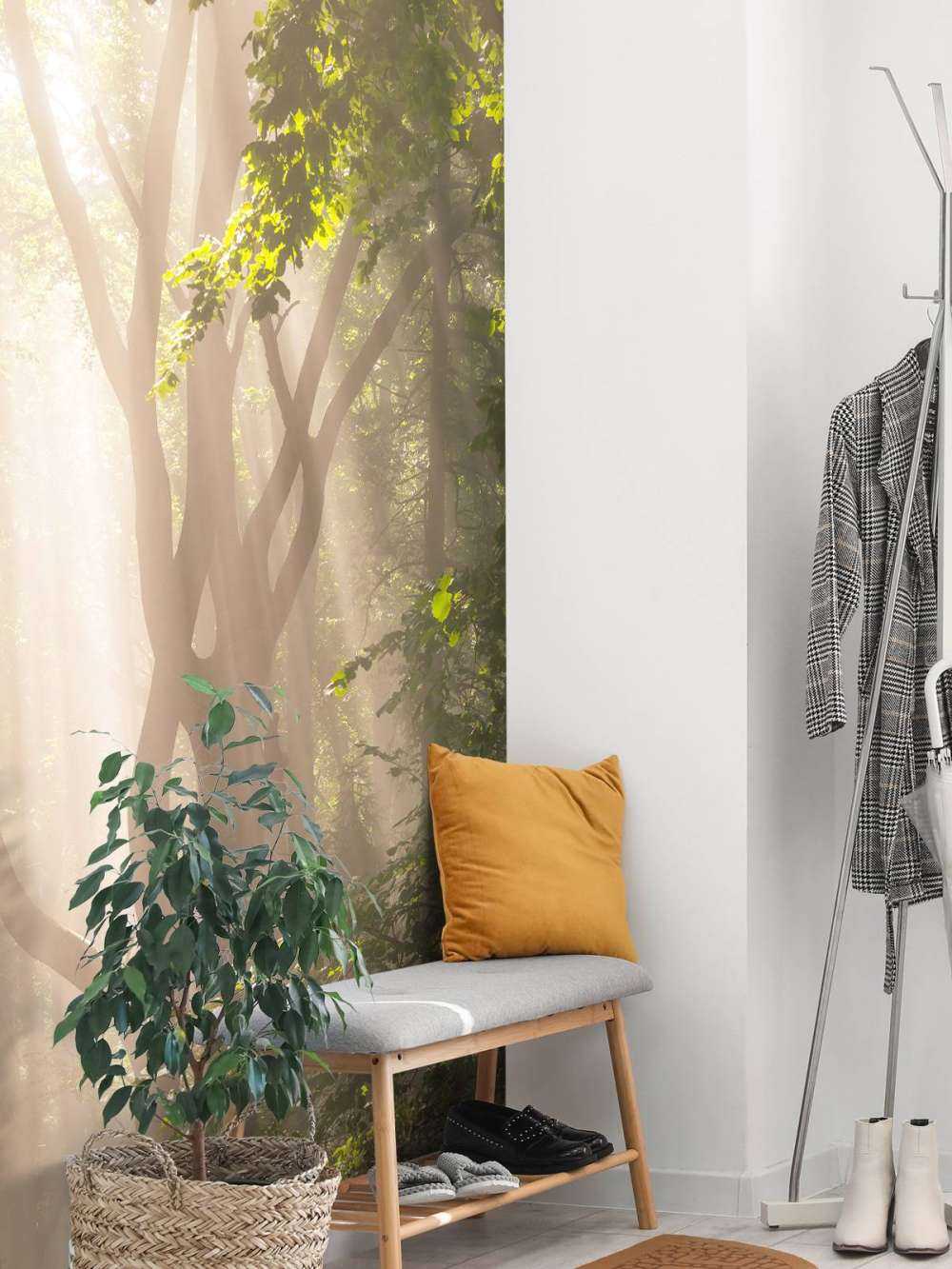 Kronkelende boom in het bos