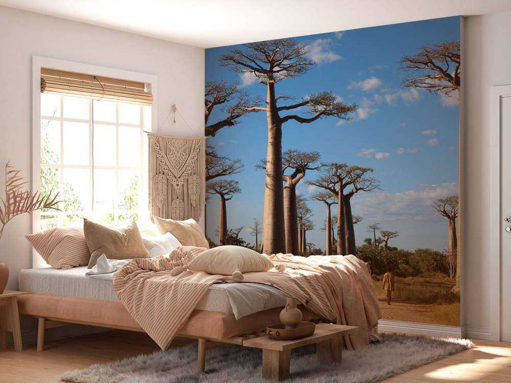 Baobab bomen