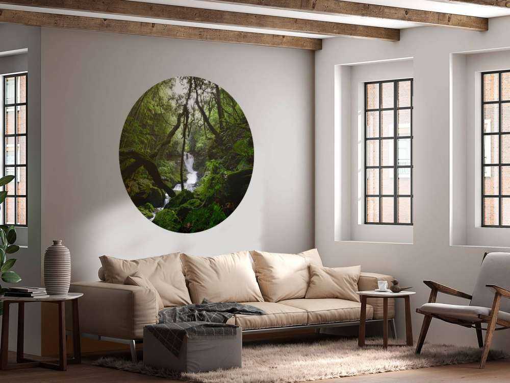 Waterval omgeven door bomen