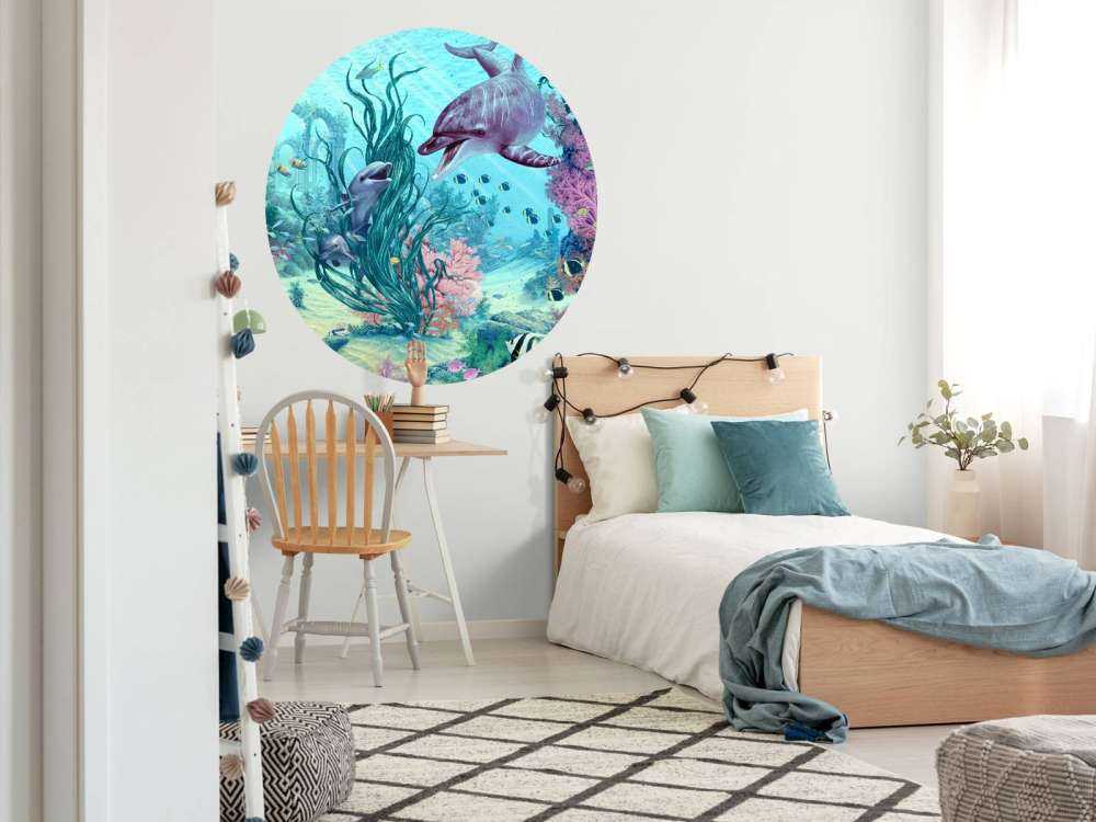 Hide And Seek Dolphins