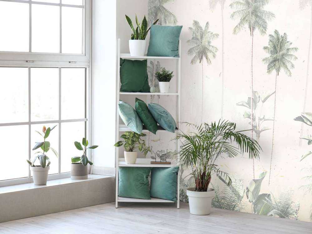 Tropische Mist Ochtend