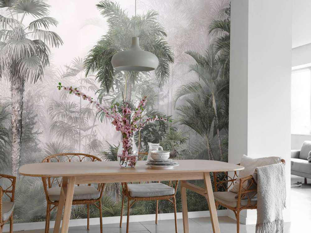 Morgenmist in de Tropen