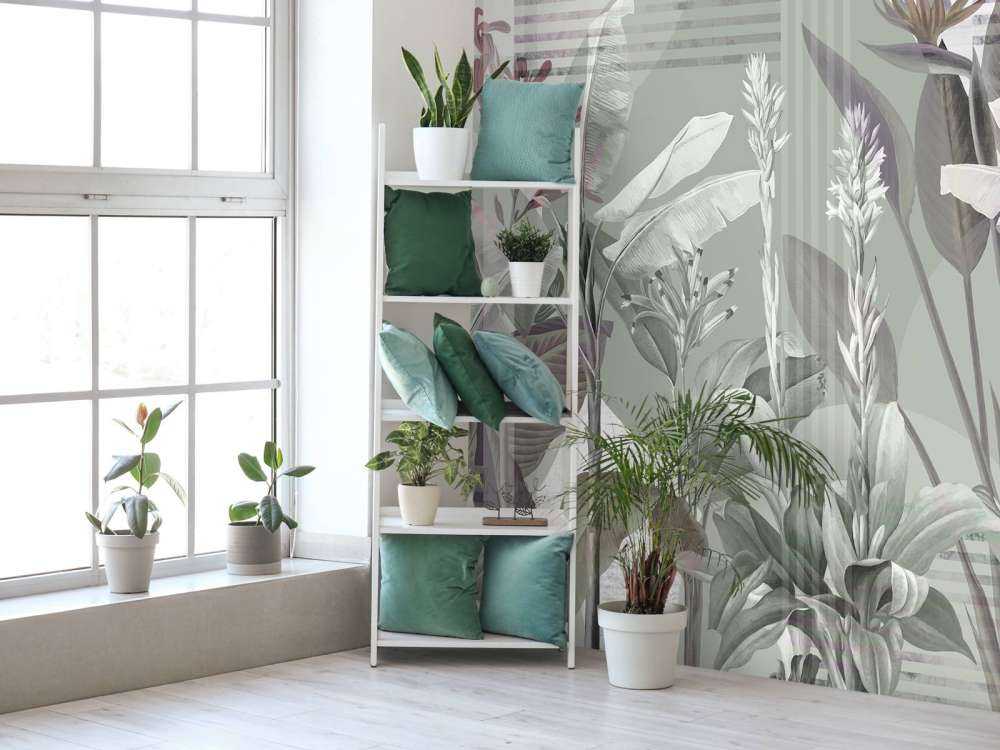 Dreams and Tropics 2