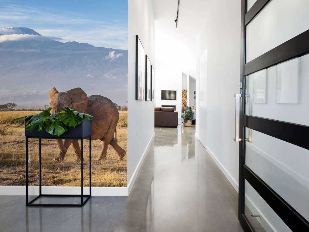 Afrikaanse olifant in een grasland