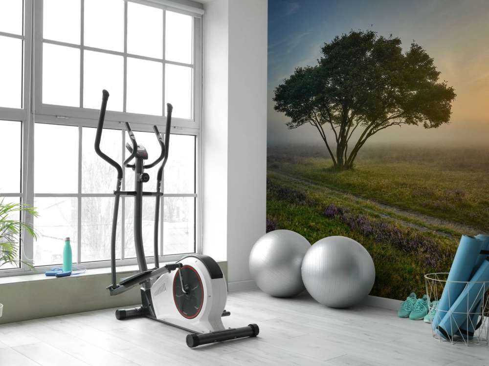 Zonsopkomst op de heide