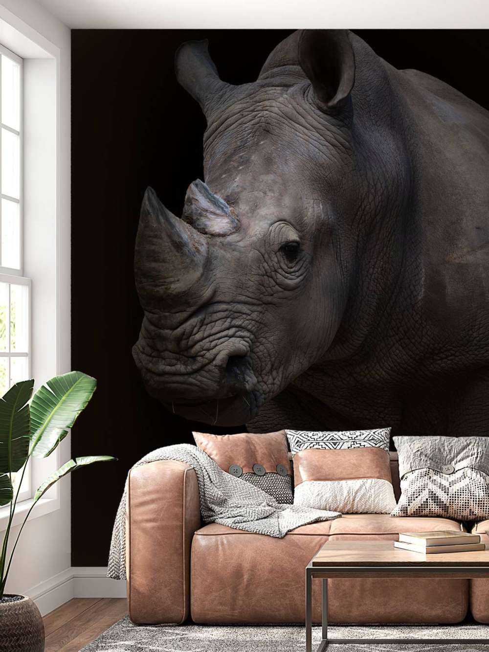 Neushoorn met een zwarte achtergrond