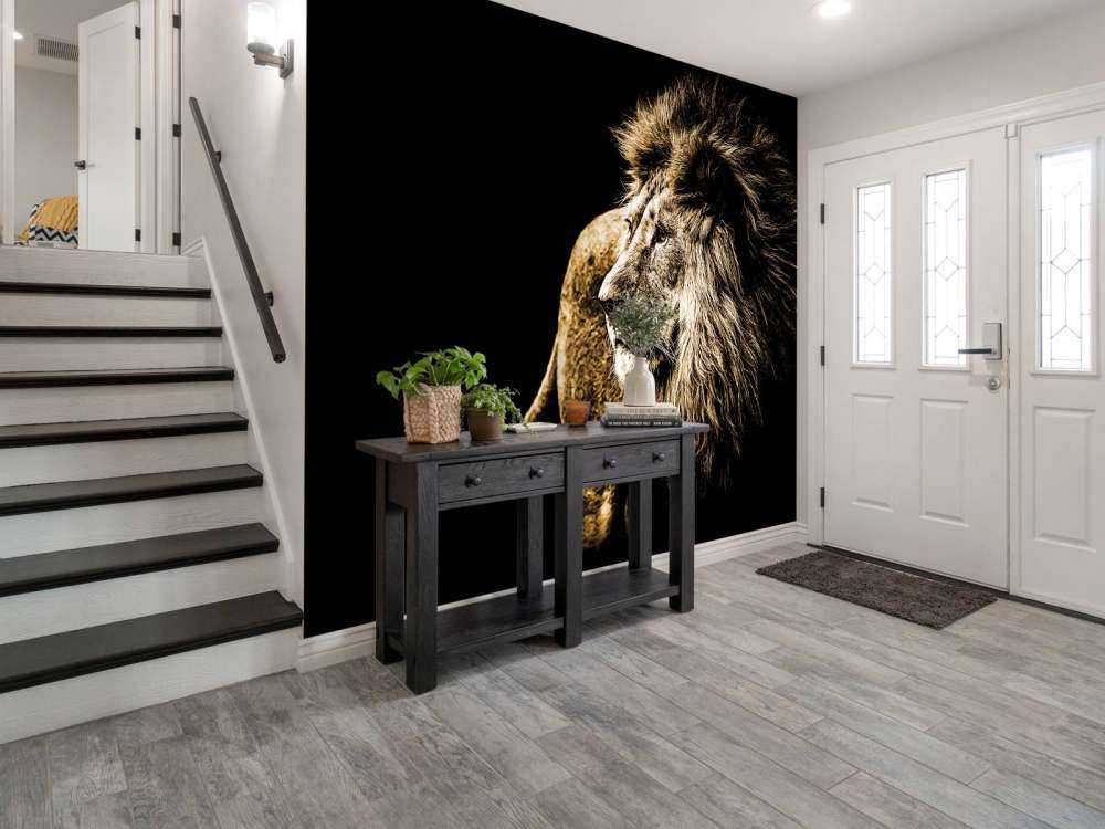 Harige leeuw met een zwarte achtergrond