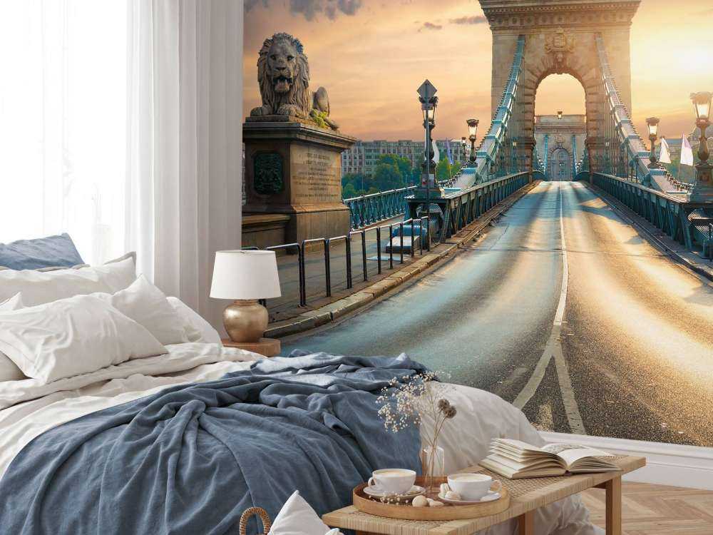 Bijzondere brug in Boedapest