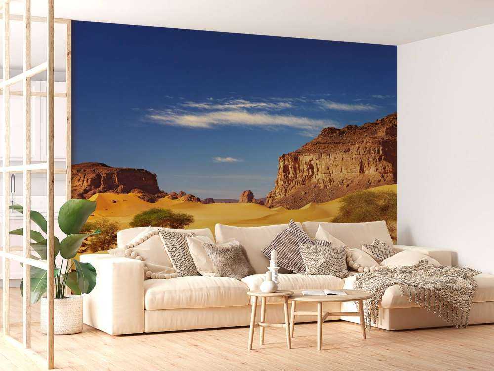 Woestijnlandschap met duinen en rotsen