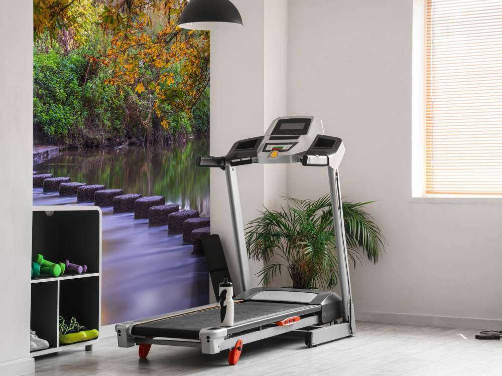 Stapstenen door een meer