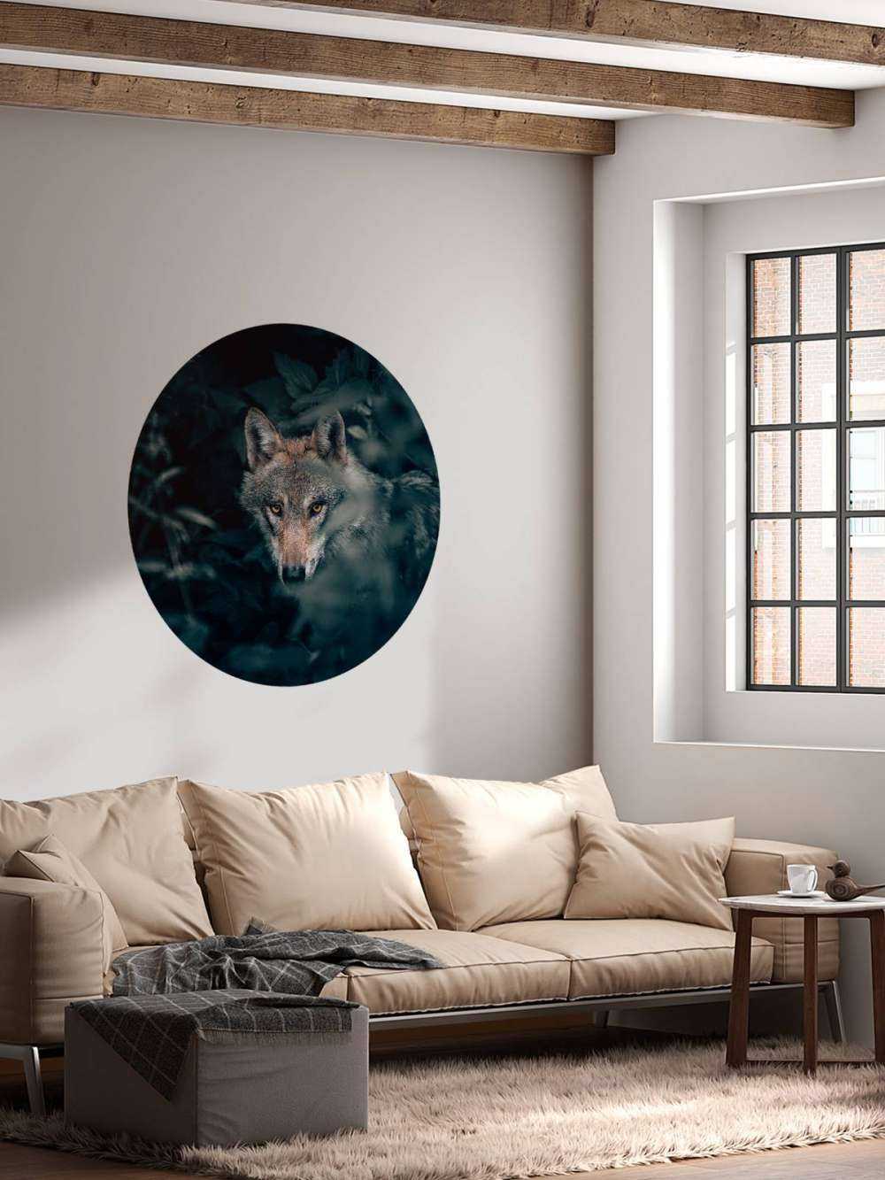 Close-up wolf