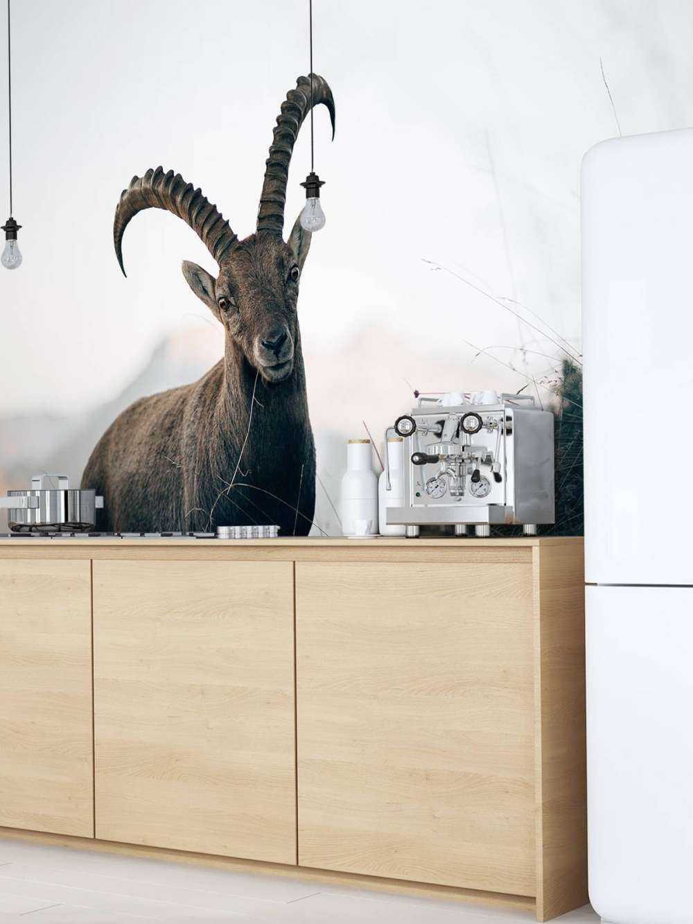 Steenbok in de bergen