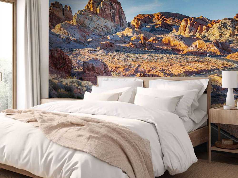 Weg door de Nevada woestijn