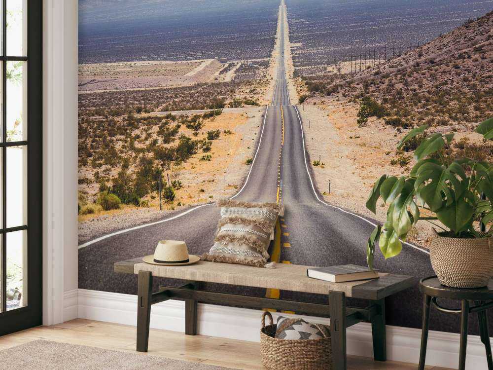 Weg door een Amerikaanse woestijn