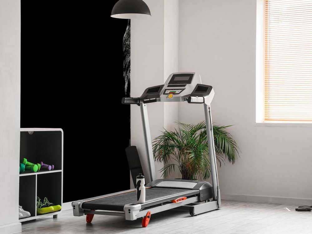 Uil in de duisternis