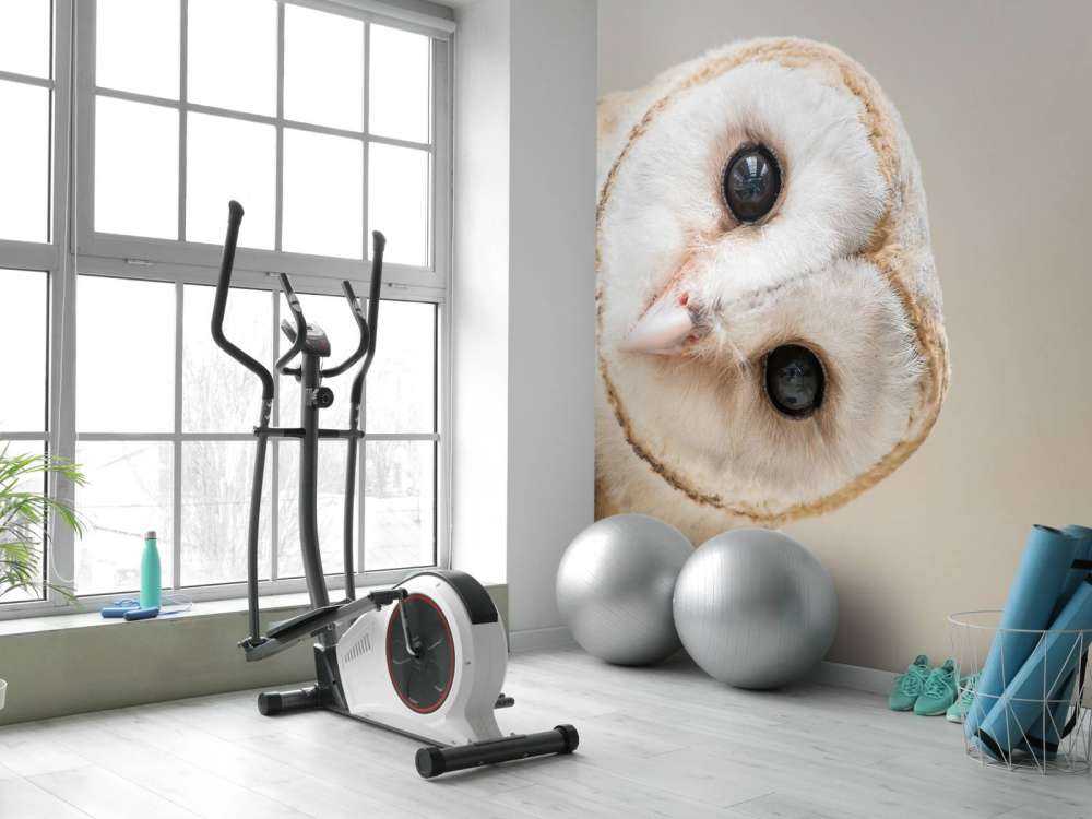 Uil met hoofd schuin