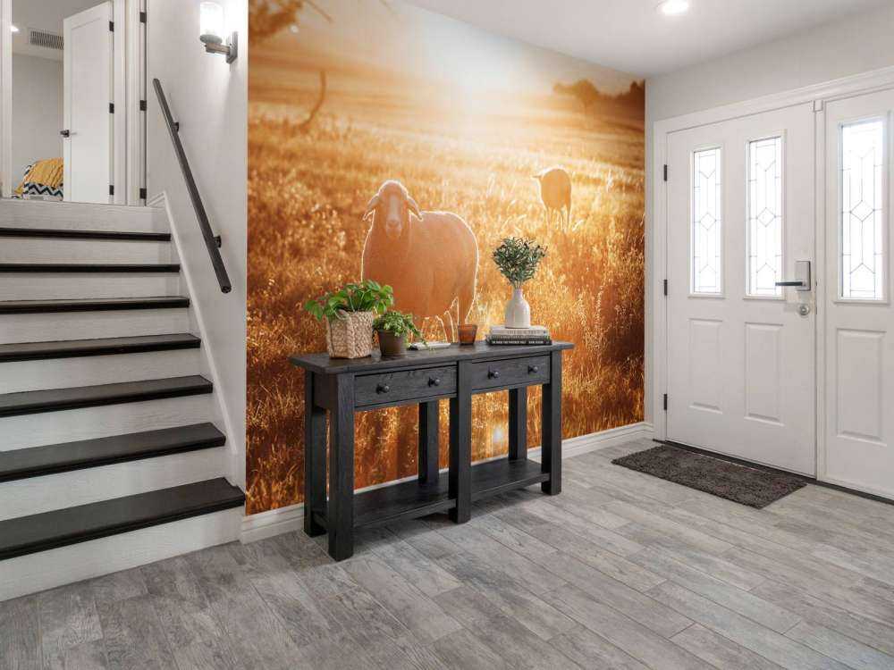 Schaap in prachtig weiland