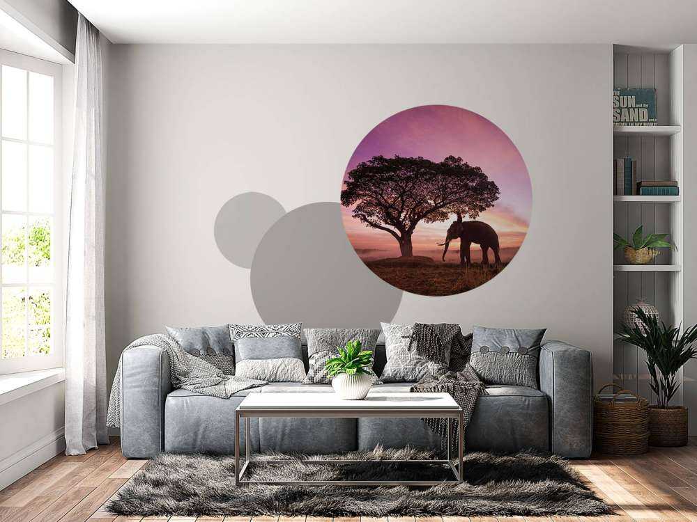 Olifant bij een unieke zonsondergang