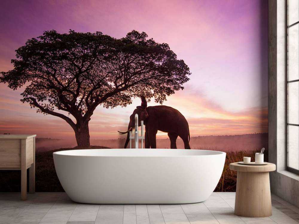 Olifant bij een unieke zonsondergang