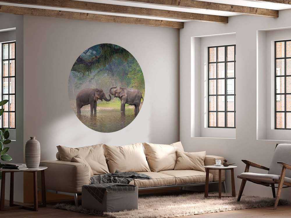 Aziatische olifanten in een rivier