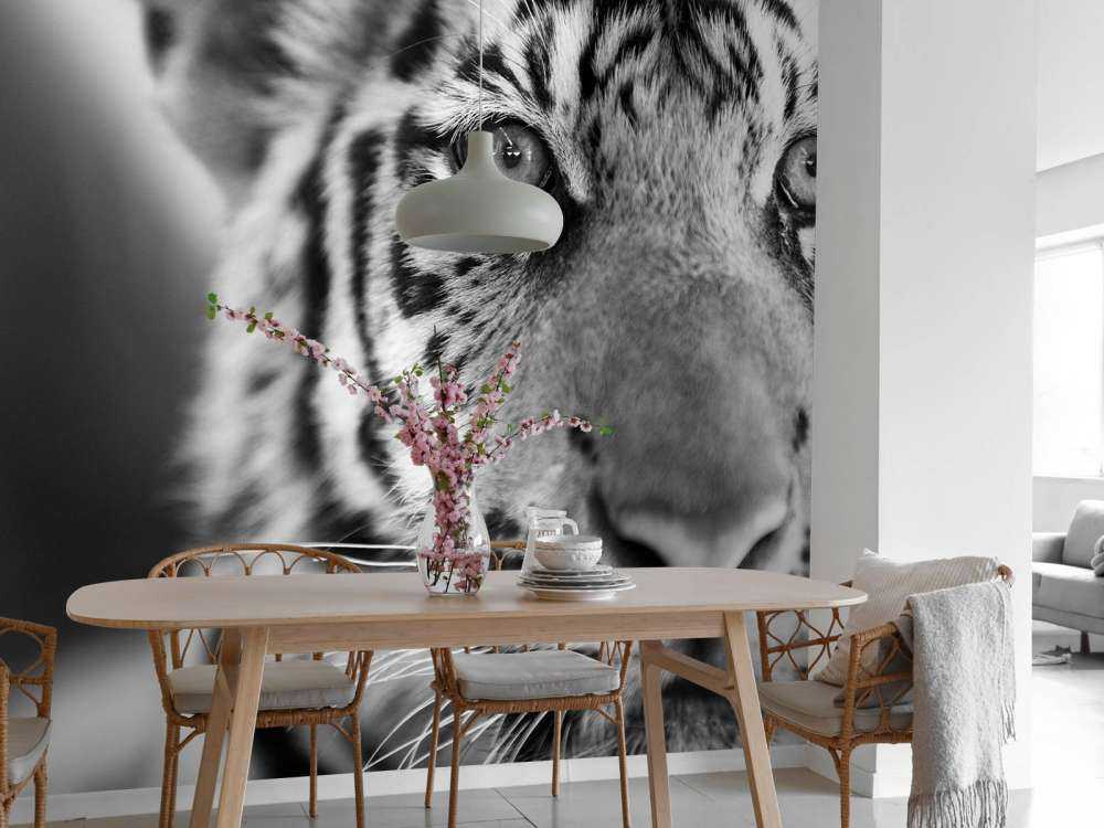 Mooie tijger in zwart-wit