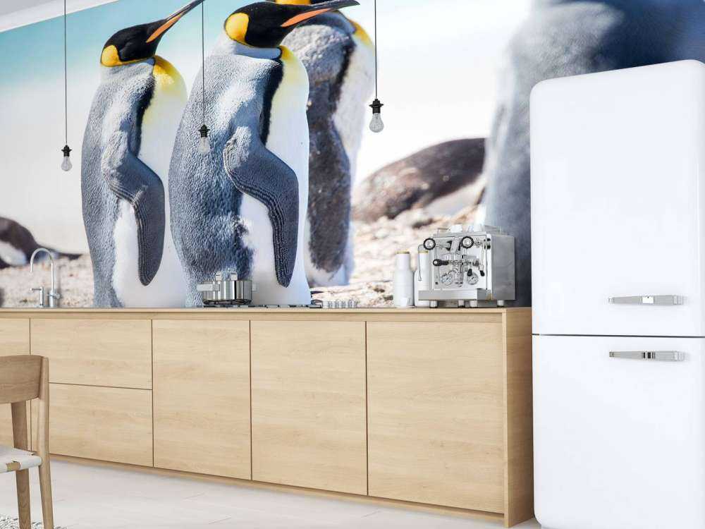 Vier pinguïns verkennen de Noordpool