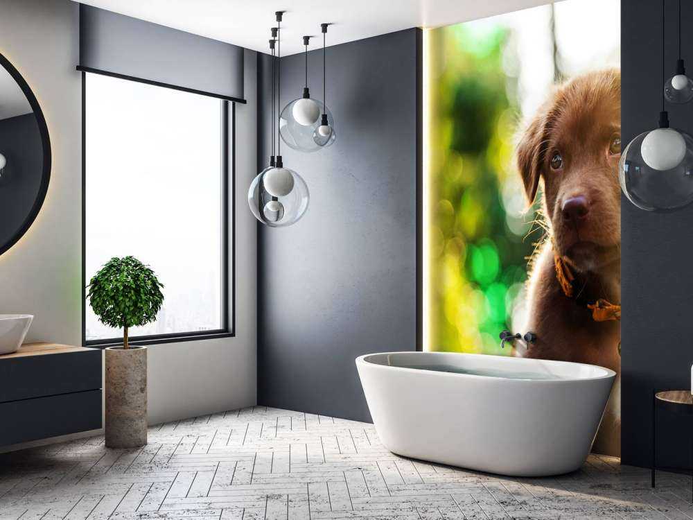 Bruine labrador met een wazige achtergrond