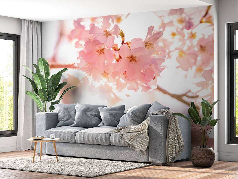 Lichte roze bloesems