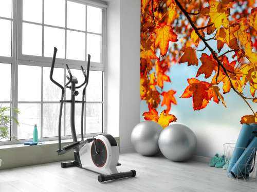 Herfst bladeren