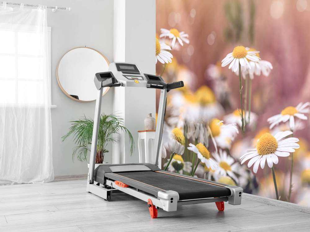 Veld vol Madeliefjes