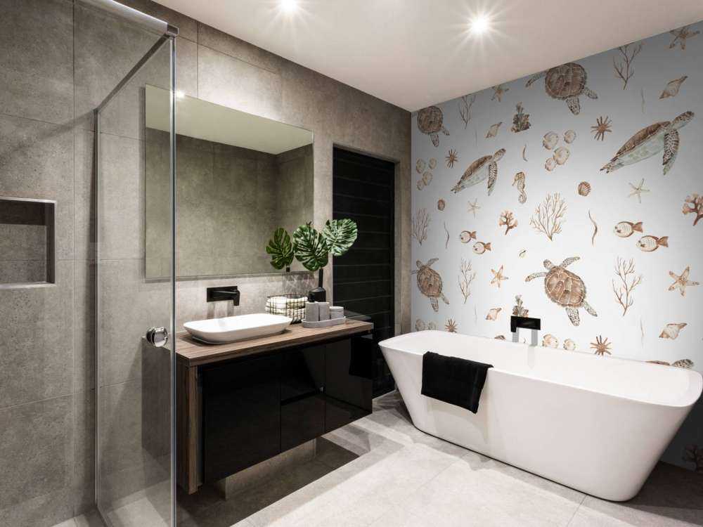 Schelpen en zeedieren