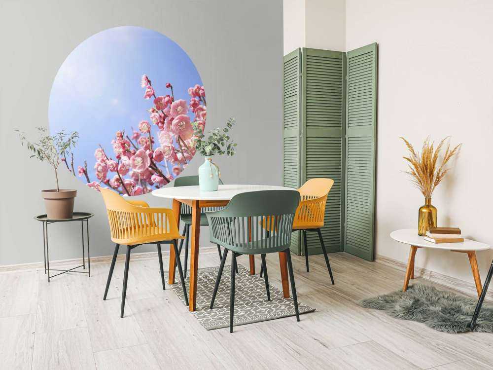 Bloesem bloemen met blauwe lucht