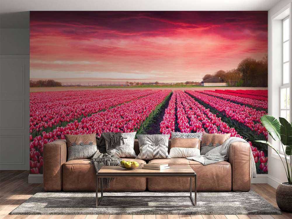 Roze tulpenveld met dynamische kleuren